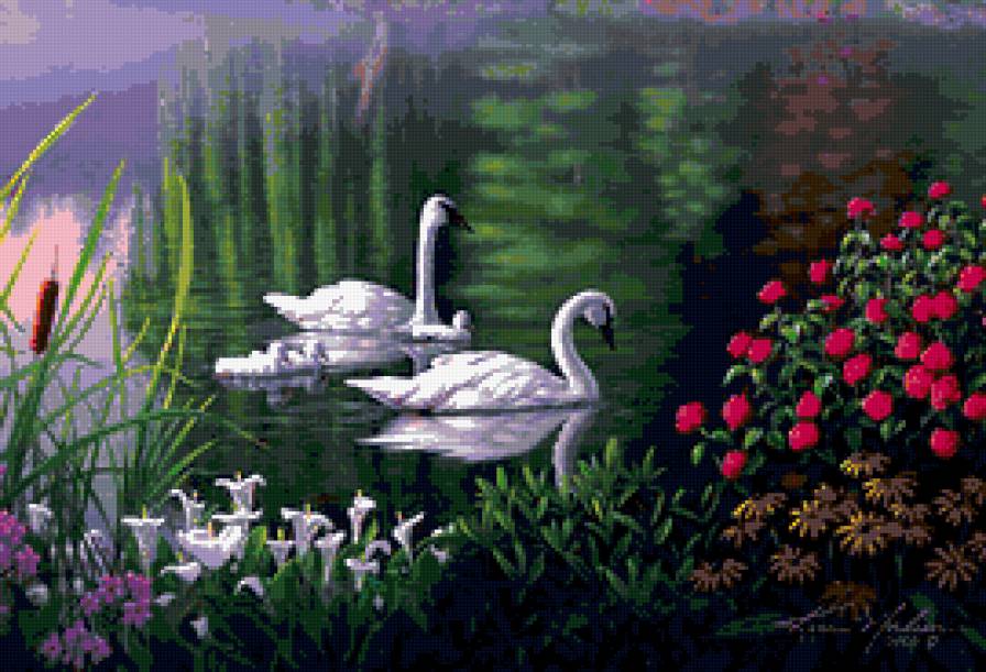 лебеди - предпросмотр