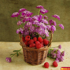 Схема вышивки «№333130»