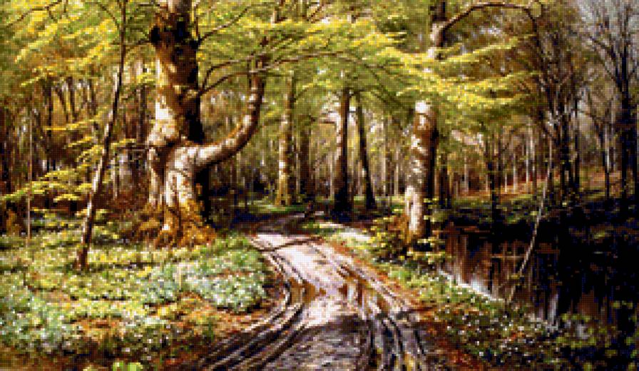 дорога в лесу - предпросмотр