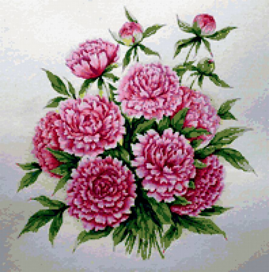 №333310 - предпросмотр