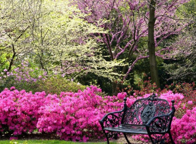 одинокая скамъя - оригинал