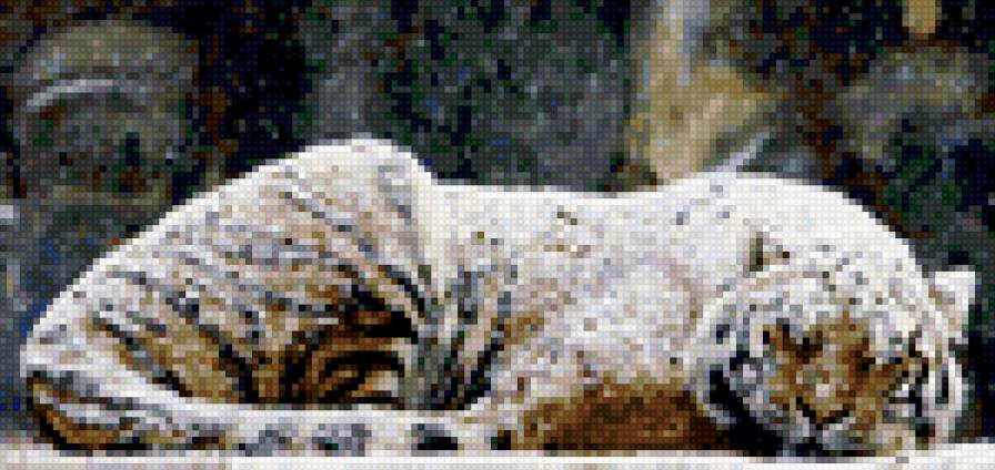 Тигр на снегу - тигр, снег - предпросмотр