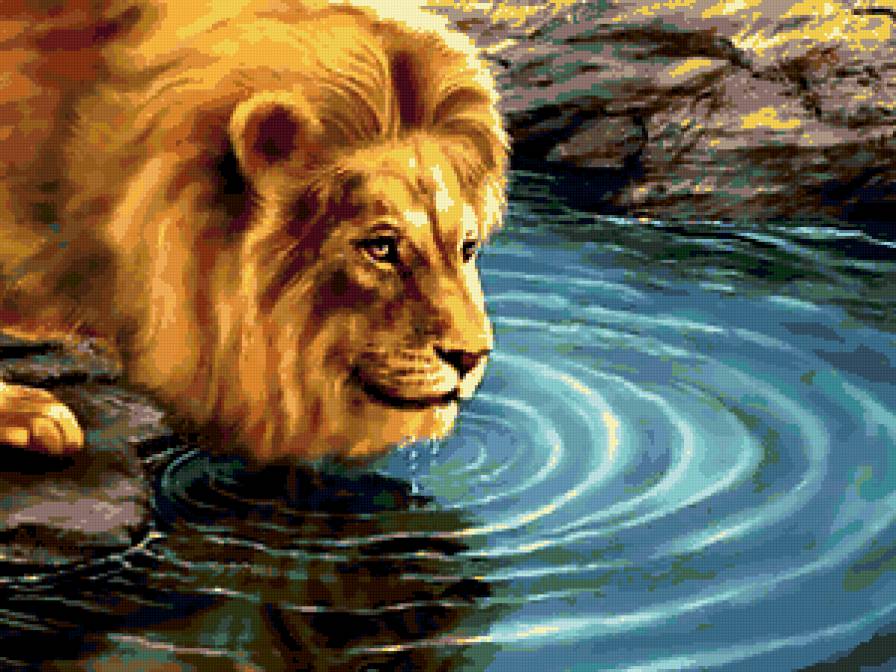 лев - хищник, лев, водоем, природа - предпросмотр