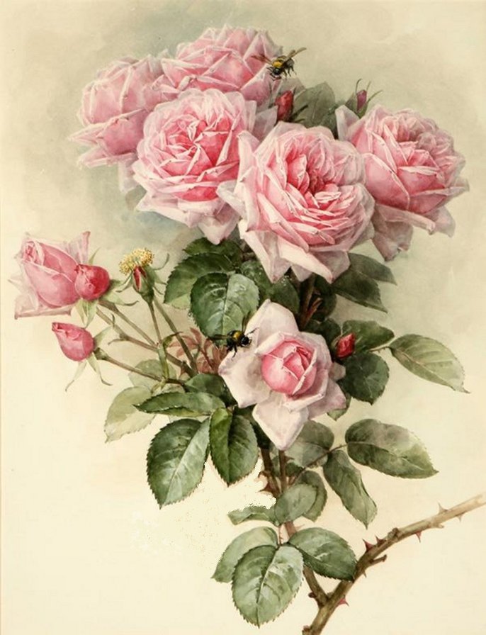 Цветы - оригинал