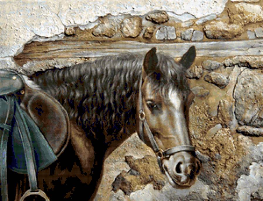 лошадь - лошади - предпросмотр