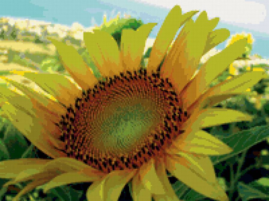 подсолнухи - цветы, панно, подушка - предпросмотр