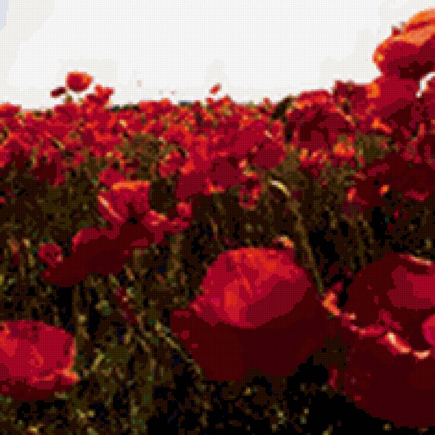 маки - цветы, панно, подушка - предпросмотр