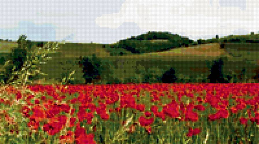 маки - панно, подушка, пейзаж, природа, цветы - предпросмотр
