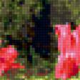 Предпросмотр схемы вышивки «тюльпаны» (№333849)