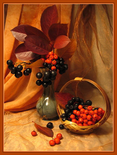 №333885 - натюрморт, осень, листья, букет, ягоды - оригинал