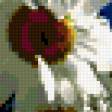 Предпросмотр схемы вышивки «ромашки» (№333889)