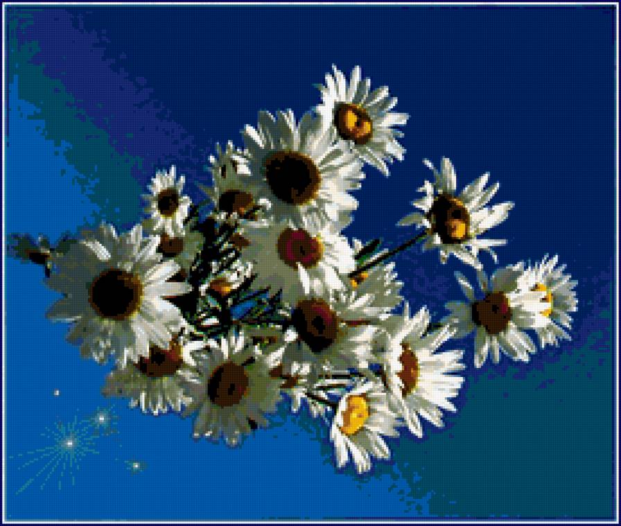 ромашки - ромашки, букет, цветы - предпросмотр