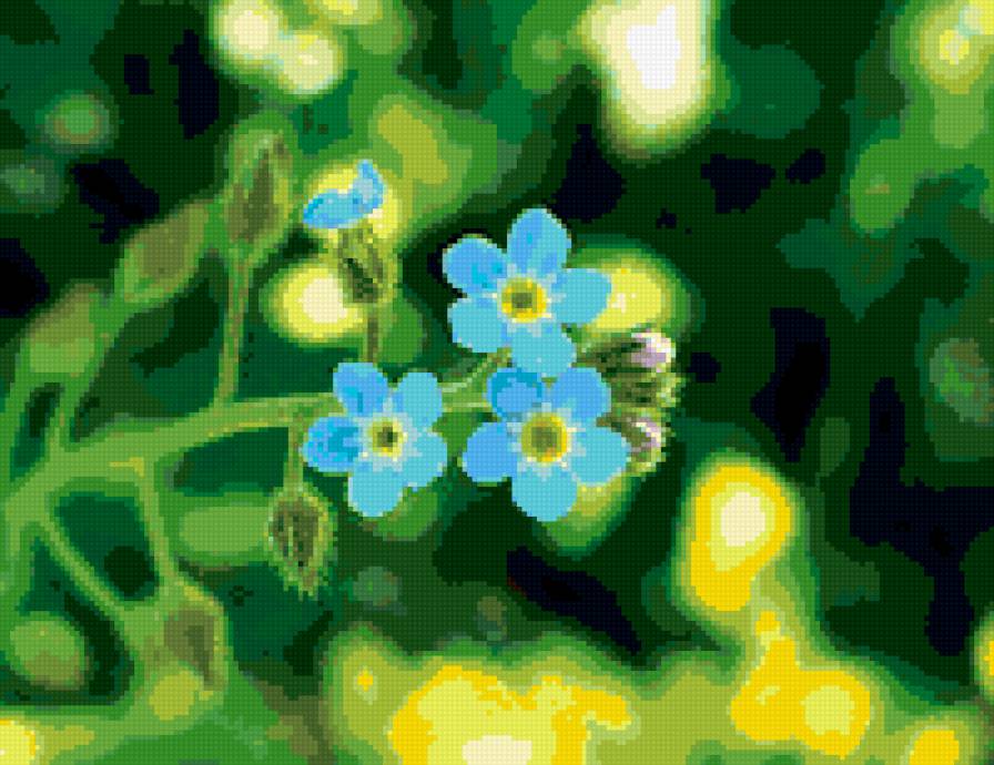 незабудки - цветы, незабудки - предпросмотр