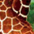 Предпросмотр схемы вышивки «жирафики» (№333912)