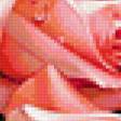 Предпросмотр схемы вышивки «розы» (№334060)