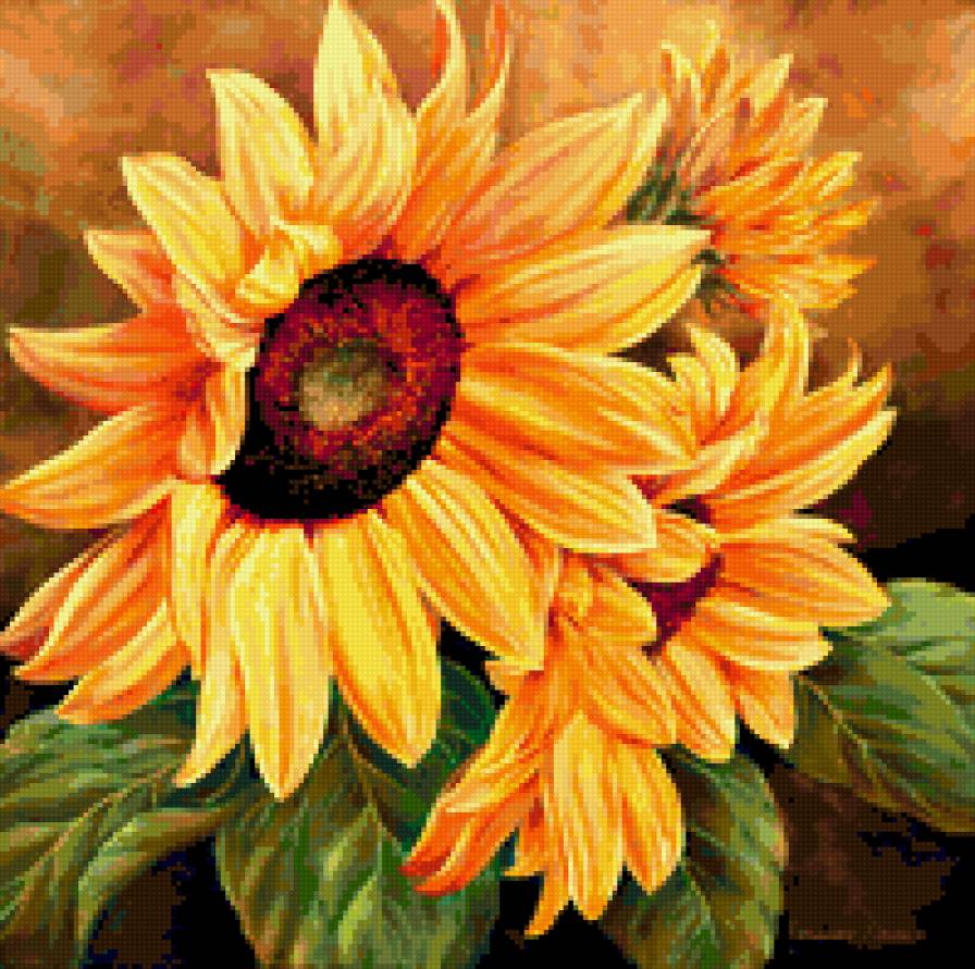 Цветы - предпросмотр