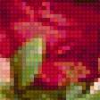 Предпросмотр схемы вышивки «Цветы» (№334115)