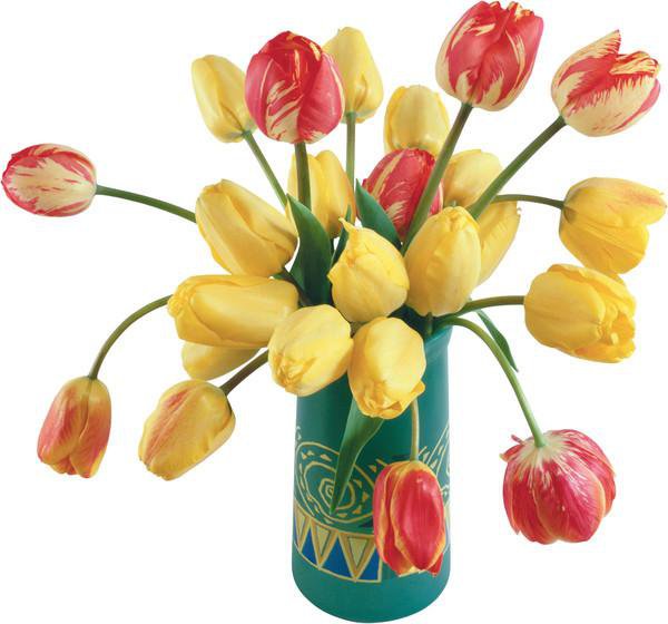 тюльпаны - тюльпаны, букет, цветы - оригинал