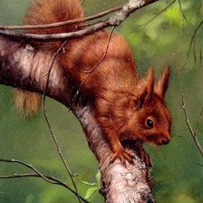 Схема вышивки «№334552»