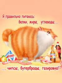 кот - оригинал