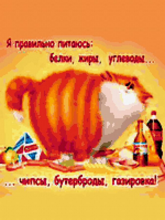 кот - предпросмотр