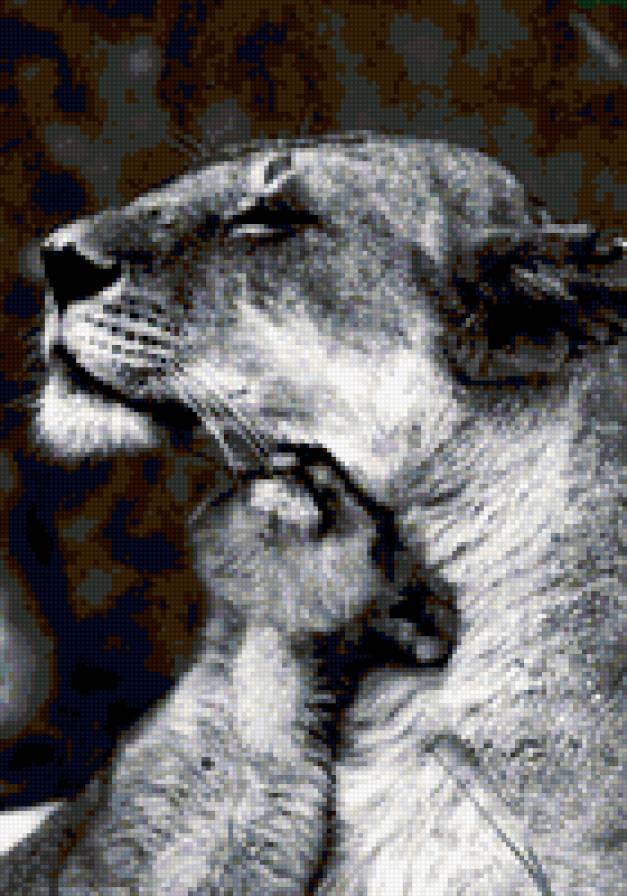 Мама - дети, львица, львенок - предпросмотр