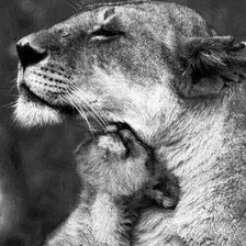 Схема вышивки «Мама»