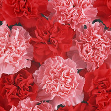 Оригинал схемы вышивки «№334749»