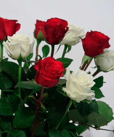 №334750 - оригинал