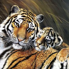 Схема вышивки «Тигры»