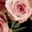 Предпросмотр схемы вышивки «розы» (№334856)