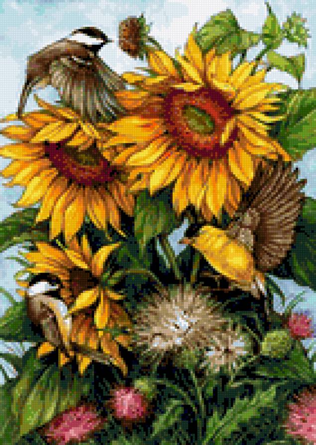 Цветы - предпросмотр