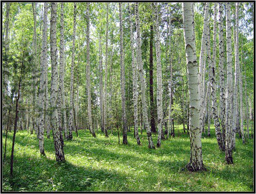 пейзаж - оригинал