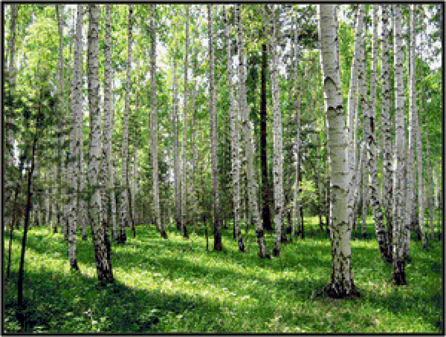 пейзаж - предпросмотр