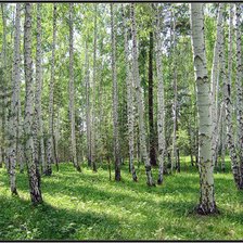 Схема вышивки «пейзаж»