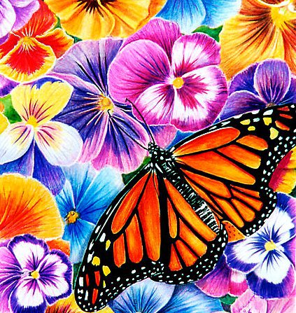 Бабочка - бабочка, анютки, цветы - оригинал