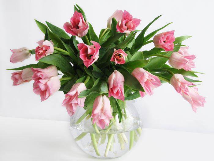 тюльпаны - тюльпаны, натюрморт, цветы, букет - оригинал