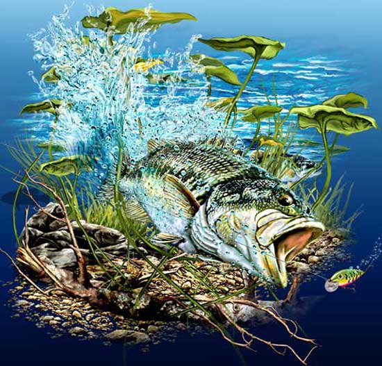 Рыба - рыбалка, рыба - оригинал