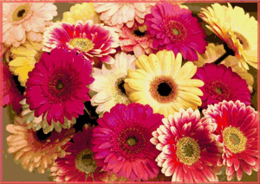 герберы - букет, цветы, герберы - предпросмотр