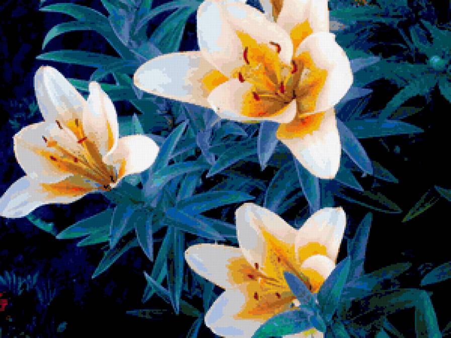 лилии - лилии, цветы - предпросмотр