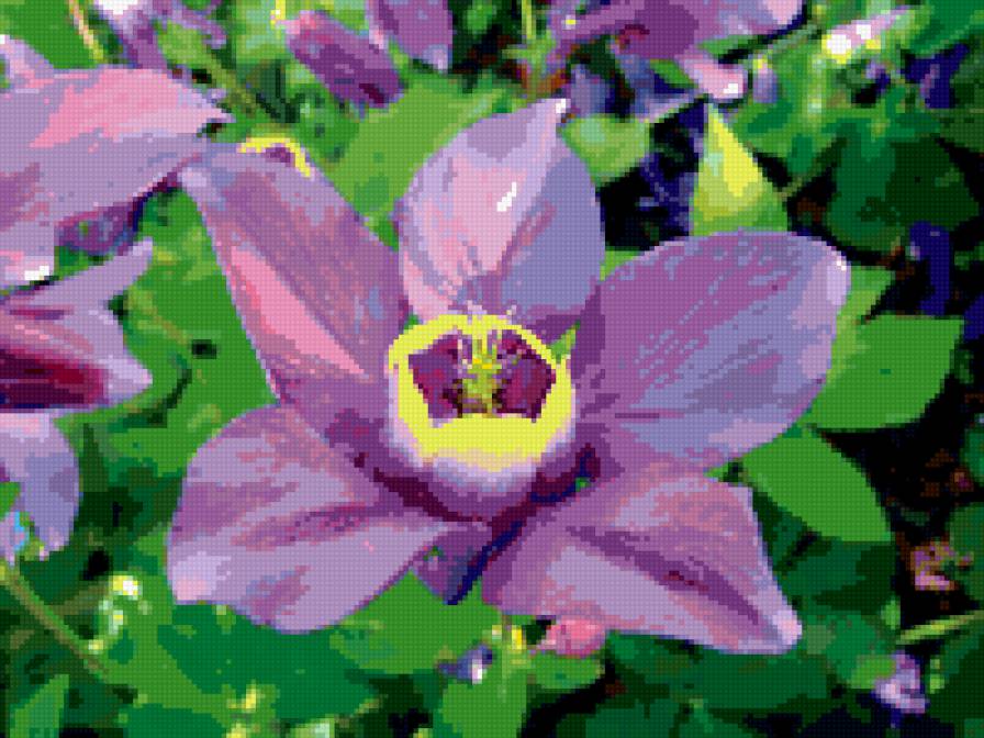 №335241 - цветы - предпросмотр