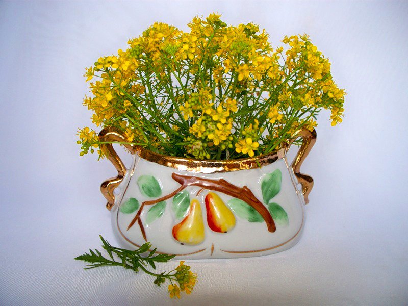 №335249 - букет, натюрморт, цветы - оригинал