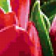 Предпросмотр схемы вышивки «Тюльпаны» (№335271)