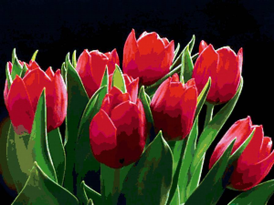 Тюльпаны - тюльпаны, цветы, букет - предпросмотр