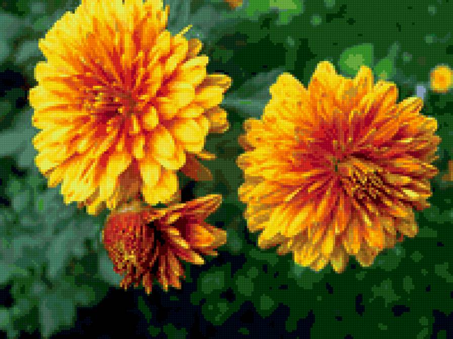 №335312 - цветы - предпросмотр