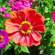 Схема вышивки «№335320»