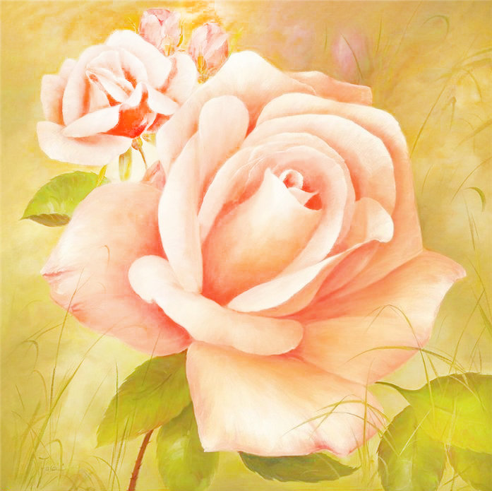 Чайная роза - роза, цветы - оригинал