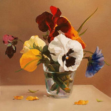 анютины глазки