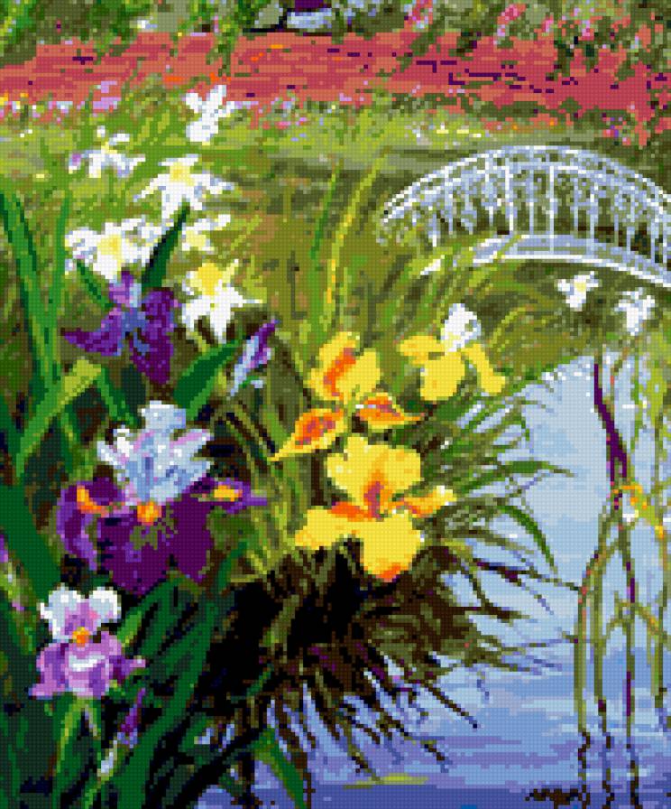 Ирисы у воды - вода, цветы, ирисы - предпросмотр