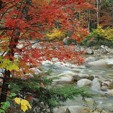 Схема вышивки «Осенний пейзаж»